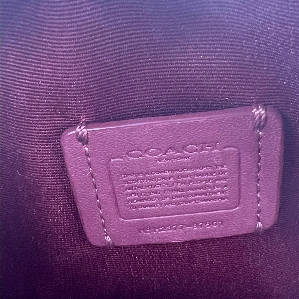 Coach MINI SERENA CROSSBODY